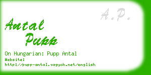 antal pupp business card